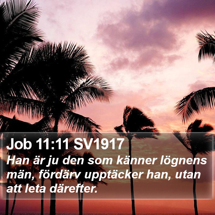 Job 11:11 SV1917 Bible Study