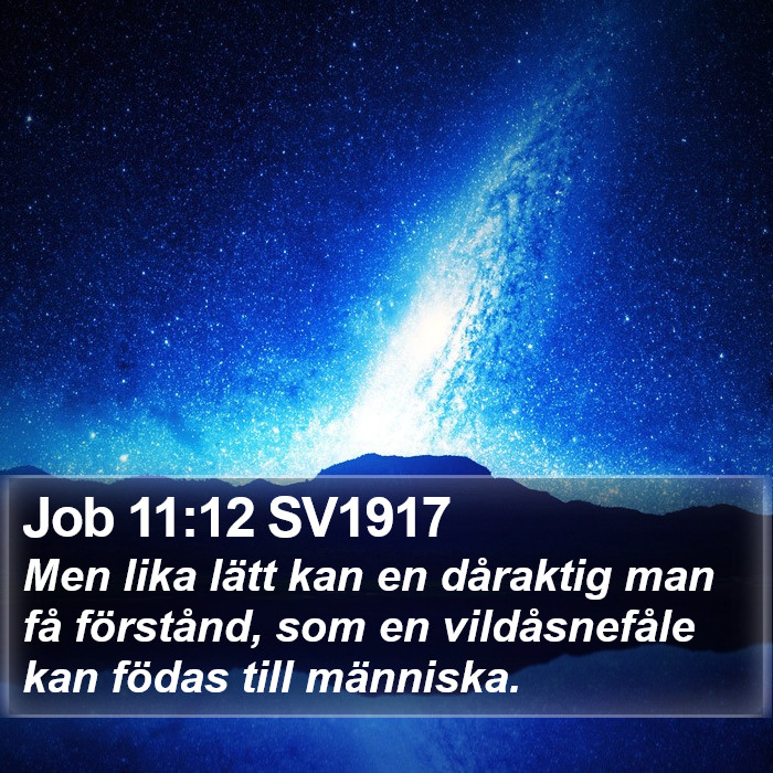 Job 11:12 SV1917 Bible Study