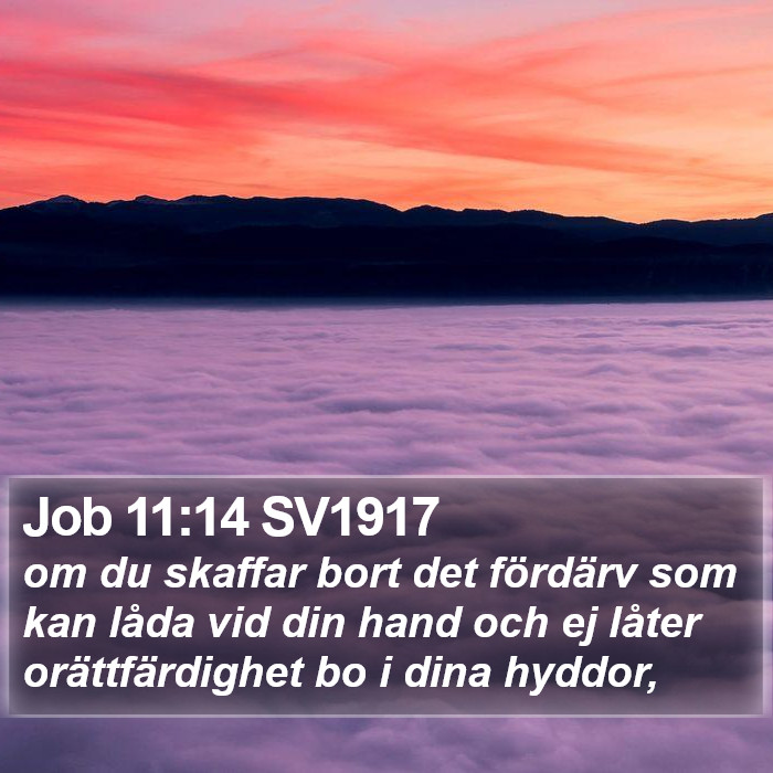 Job 11:14 SV1917 Bible Study