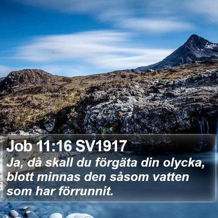 Job 11:16 SV1917 Bible Study