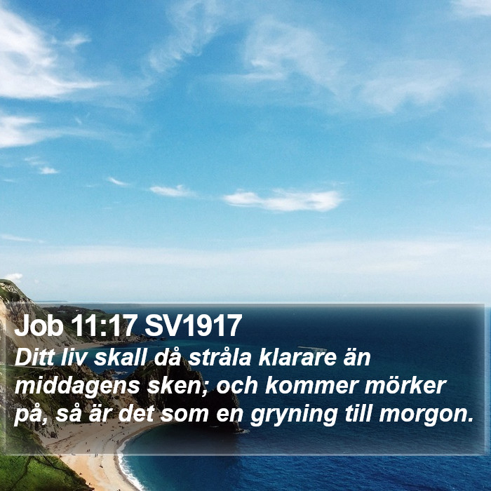 Job 11:17 SV1917 Bible Study