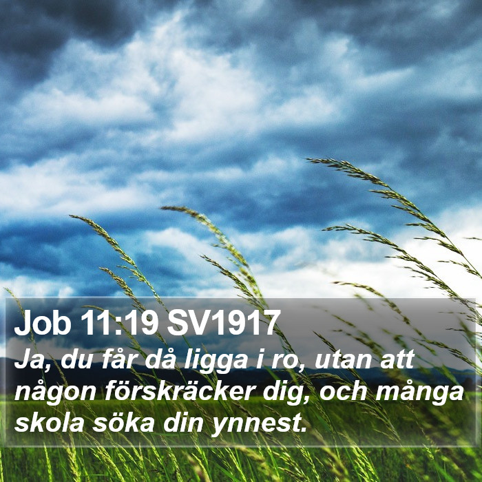 Job 11:19 SV1917 Bible Study