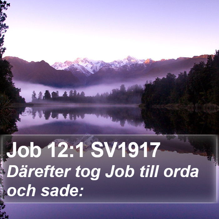 Job 12:1 SV1917 Bible Study