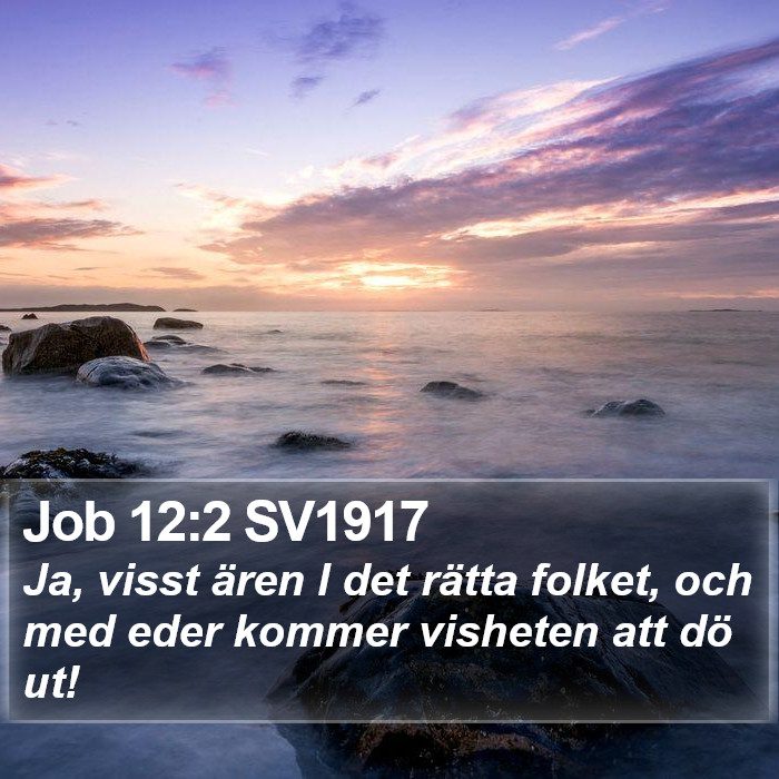 Job 12:2 SV1917 Bible Study