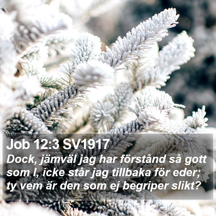 Job 12:3 SV1917 Bible Study