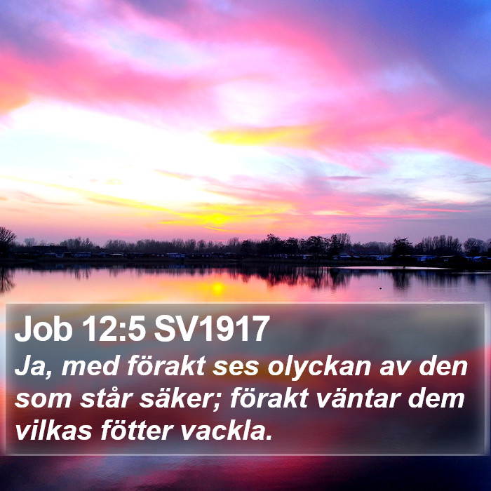 Job 12:5 SV1917 Bible Study