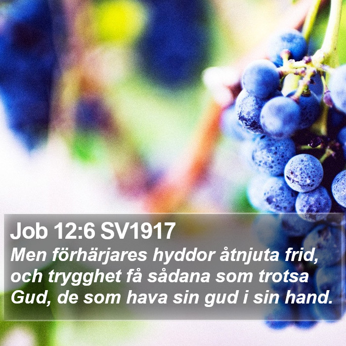 Job 12:6 SV1917 Bible Study