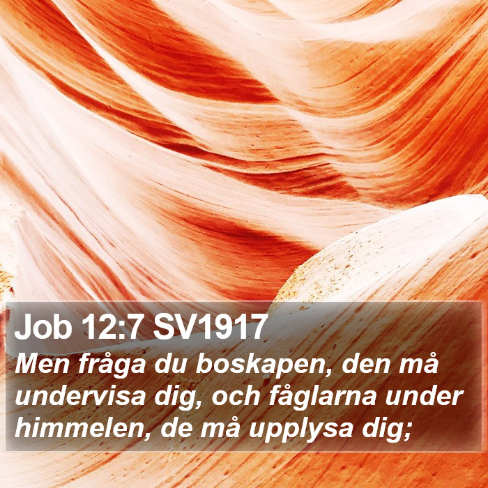 Job 12:7 SV1917 Bible Study