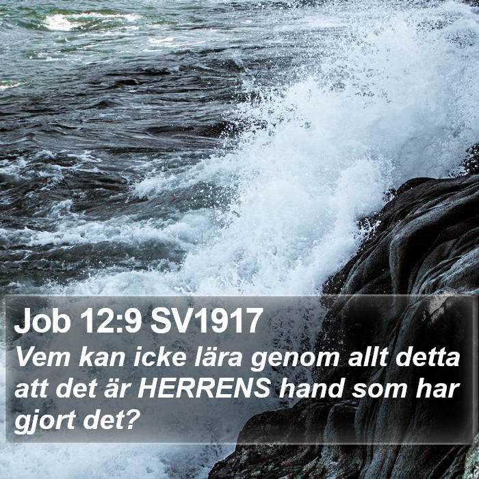 Job 12:9 SV1917 Bible Study