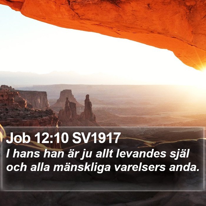 Job 12:10 SV1917 Bible Study