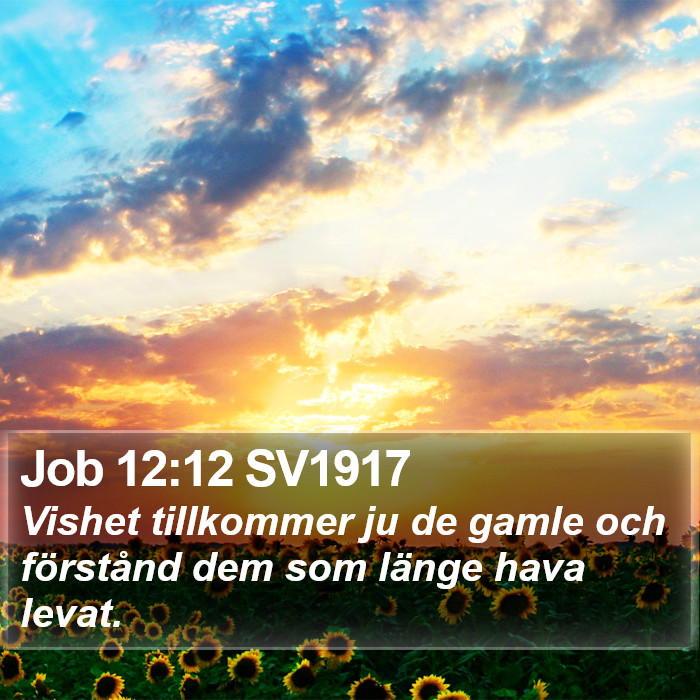 Job 12:12 SV1917 Bible Study