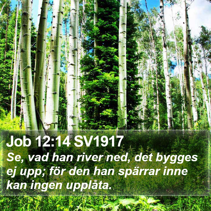 Job 12:14 SV1917 Bible Study