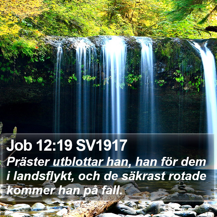 Job 12:19 SV1917 Bible Study