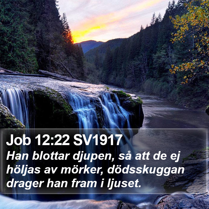 Job 12:22 SV1917 Bible Study