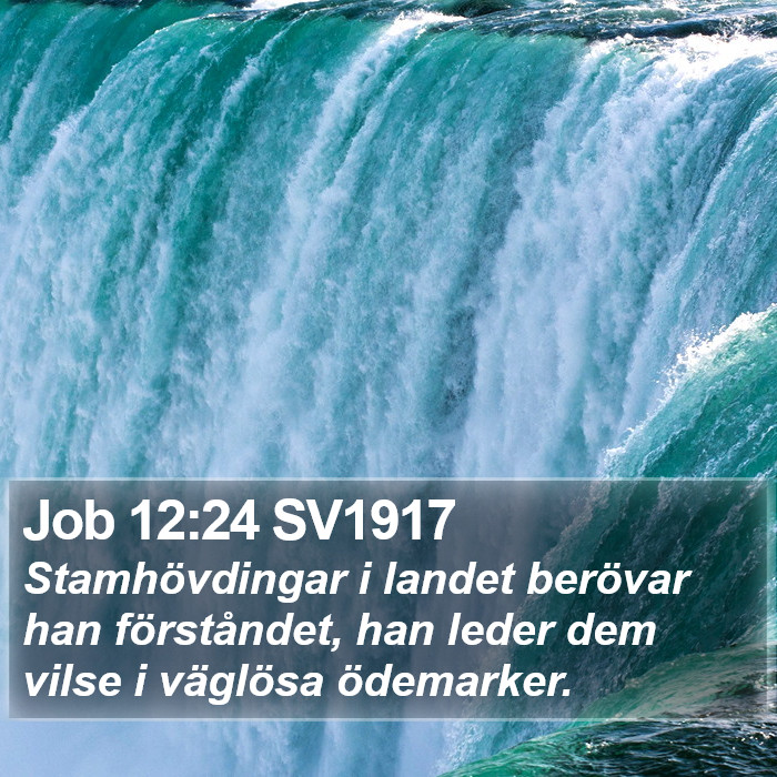 Job 12:24 SV1917 Bible Study