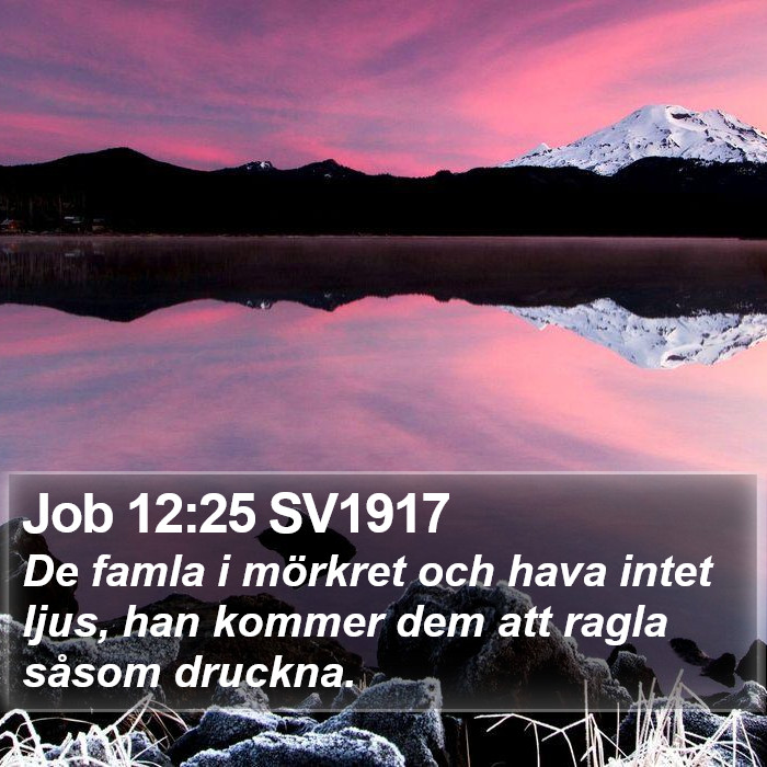 Job 12:25 SV1917 Bible Study