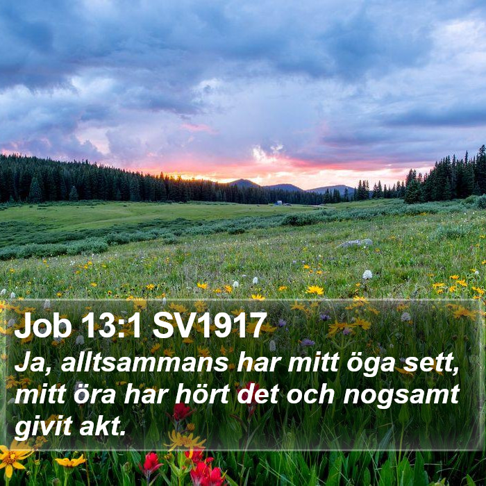 Job 13:1 SV1917 Bible Study