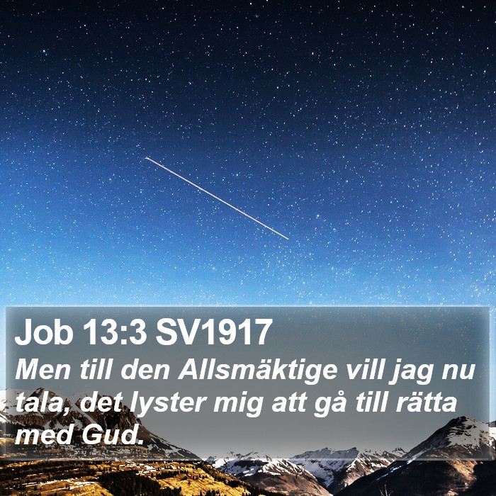 Job 13:3 SV1917 Bible Study