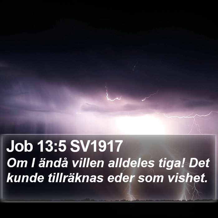 Job 13:5 SV1917 Bible Study