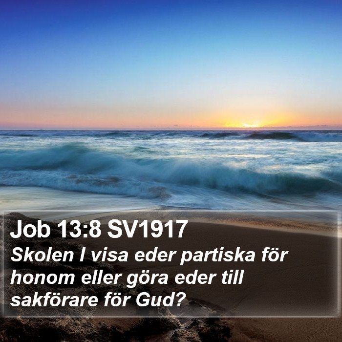 Job 13:8 SV1917 Bible Study