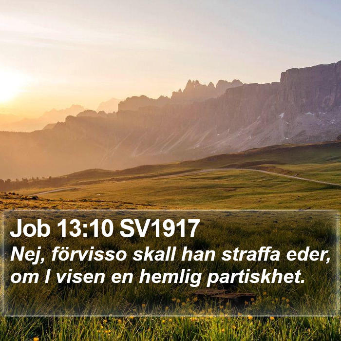 Job 13:10 SV1917 Bible Study