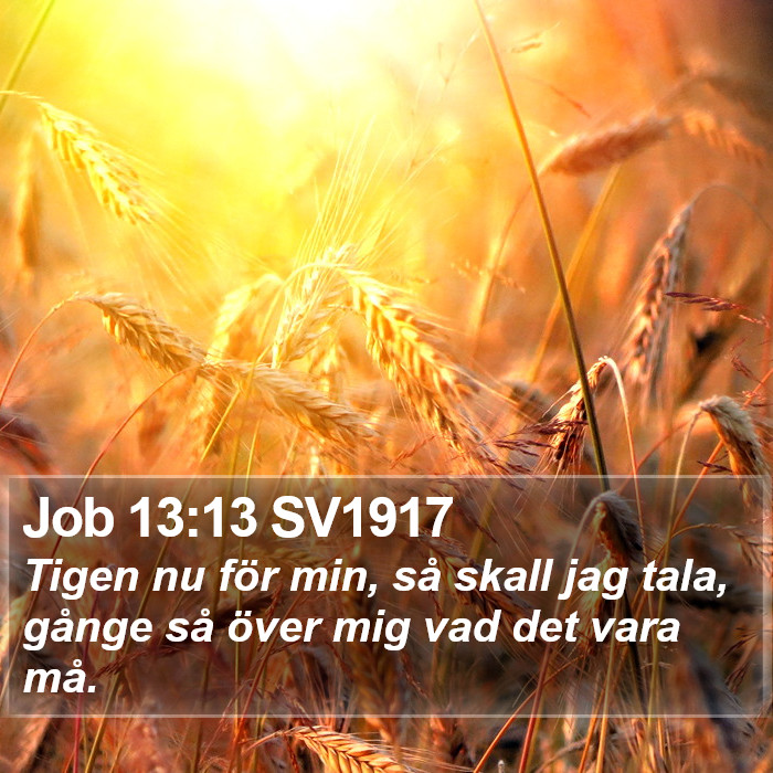 Job 13:13 SV1917 Bible Study