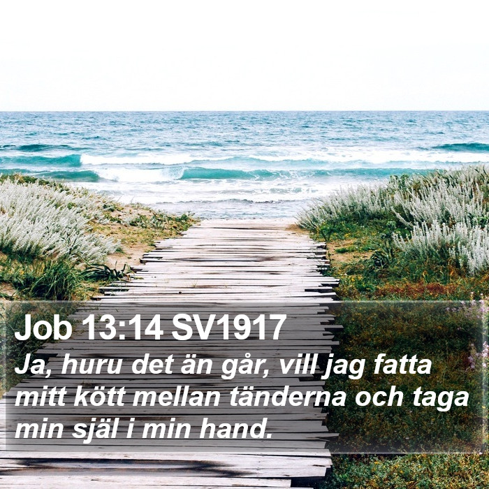 Job 13:14 SV1917 Bible Study