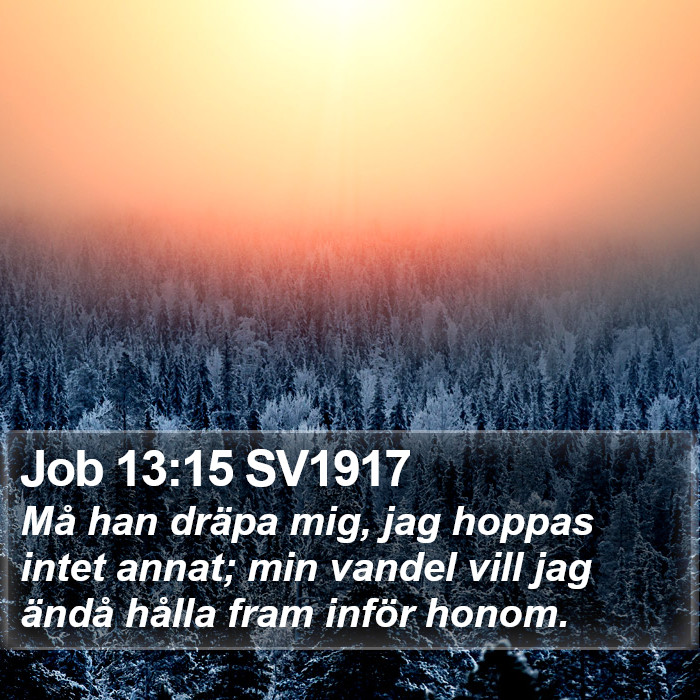 Job 13:15 SV1917 Bible Study