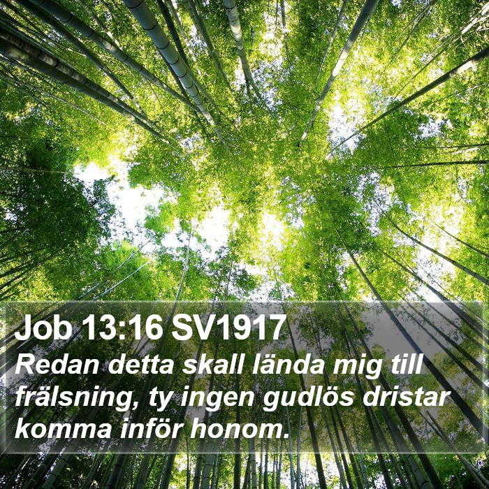 Job 13:16 SV1917 Bible Study