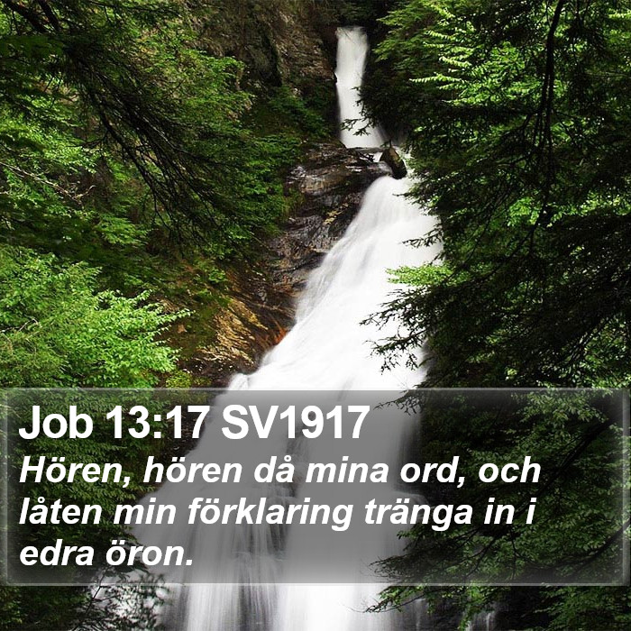 Job 13:17 SV1917 Bible Study