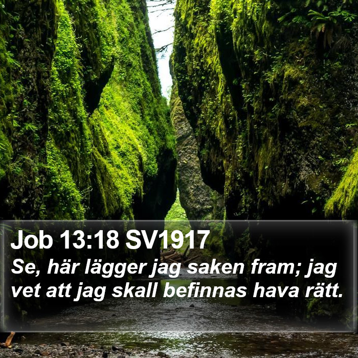 Job 13:18 SV1917 Bible Study