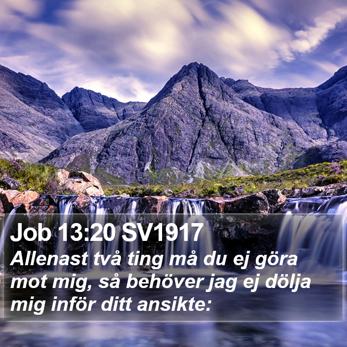 Job 13:20 SV1917 Bible Study