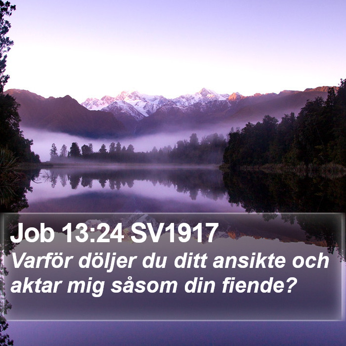 Job 13:24 SV1917 Bible Study