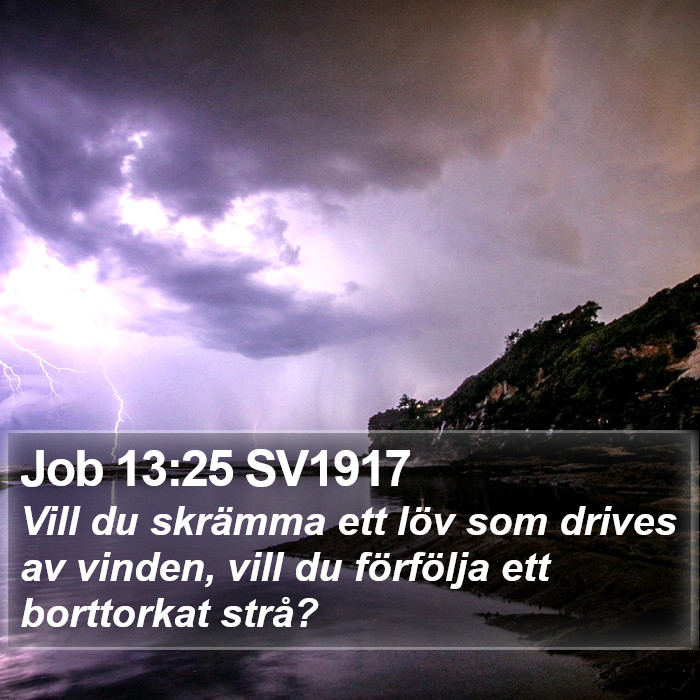 Job 13:25 SV1917 Bible Study