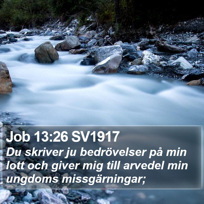 Job 13:26 SV1917 Bible Study