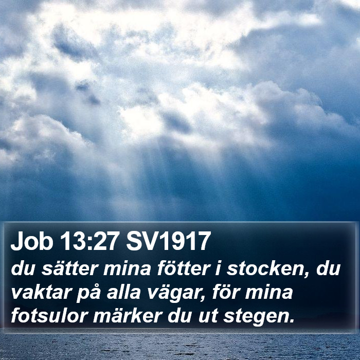 Job 13:27 SV1917 Bible Study