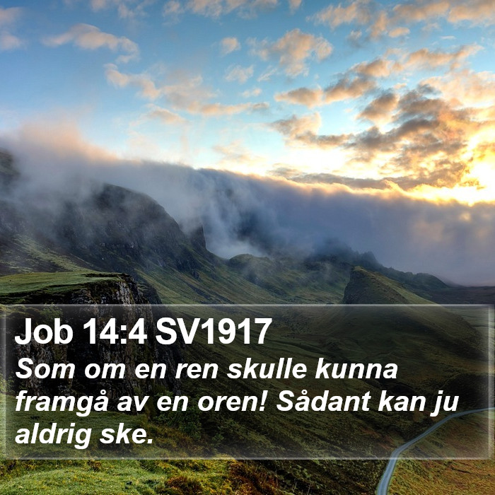 Job 14:4 SV1917 Bible Study