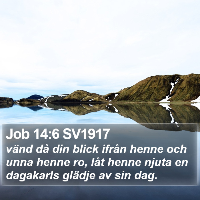 Job 14:6 SV1917 Bible Study