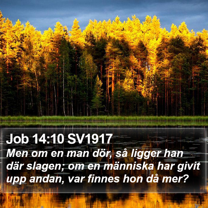 Job 14:10 SV1917 Bible Study