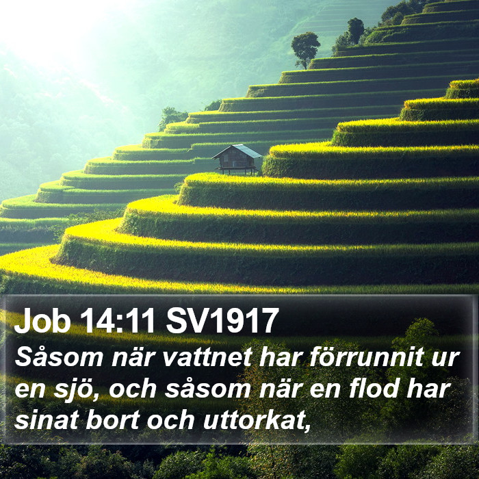 Job 14:11 SV1917 Bible Study