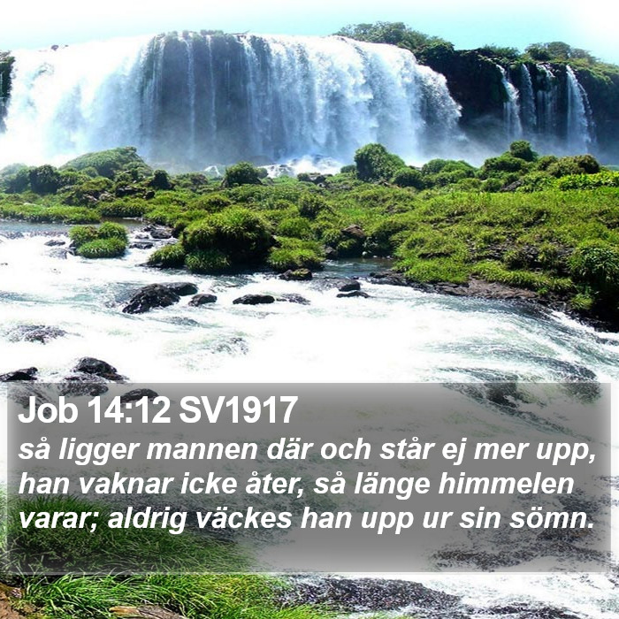 Job 14:12 SV1917 Bible Study