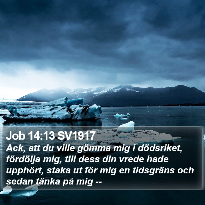 Job 14:13 SV1917 Bible Study