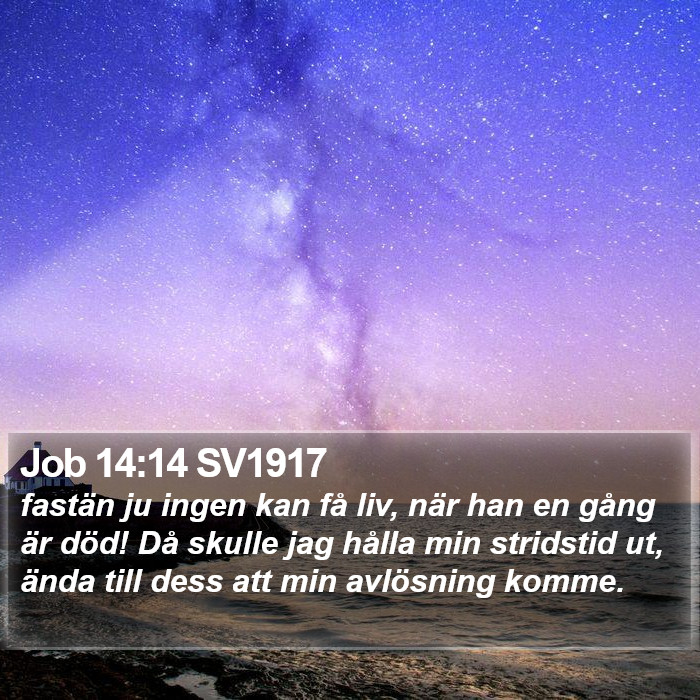 Job 14:14 SV1917 Bible Study