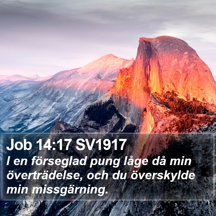 Job 14:17 SV1917 Bible Study