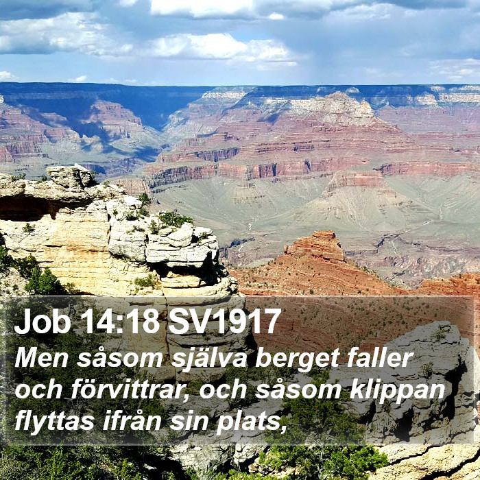 Job 14:18 SV1917 Bible Study