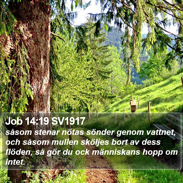 Job 14:19 SV1917 Bible Study