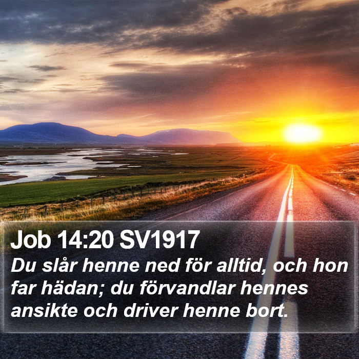 Job 14:20 SV1917 Bible Study