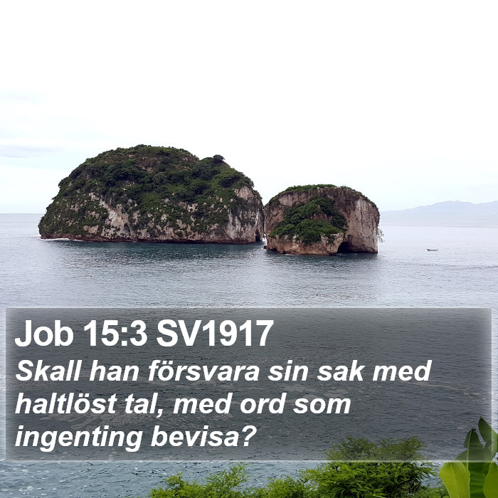 Job 15:3 SV1917 Bible Study