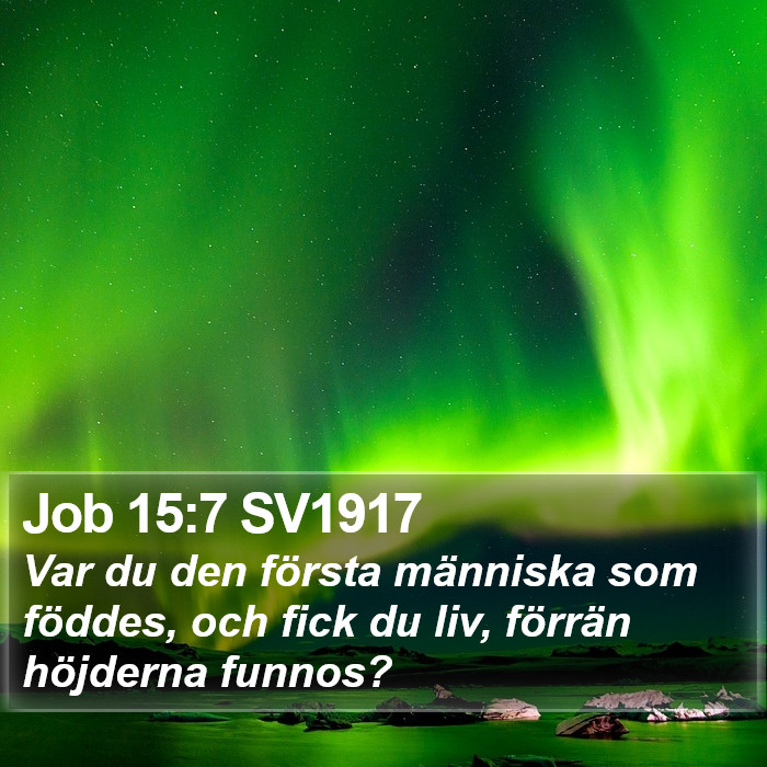 Job 15:7 SV1917 Bible Study