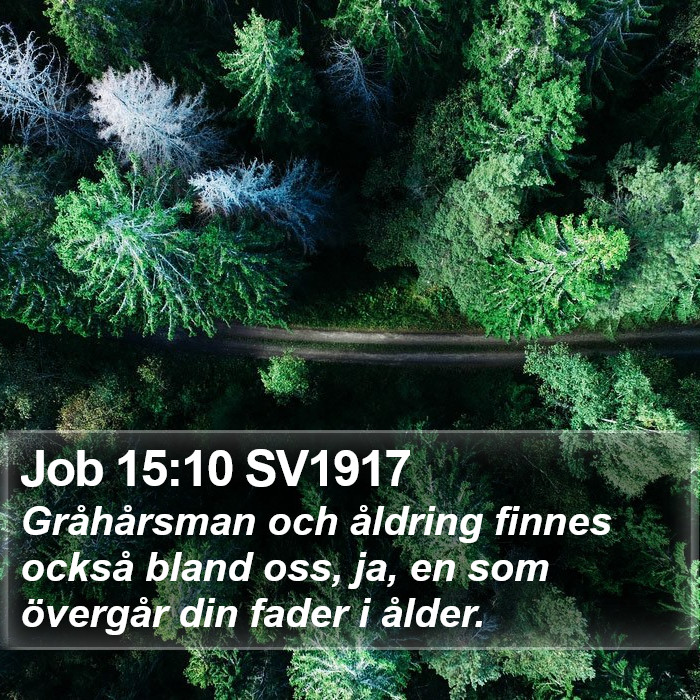 Job 15:10 SV1917 Bible Study